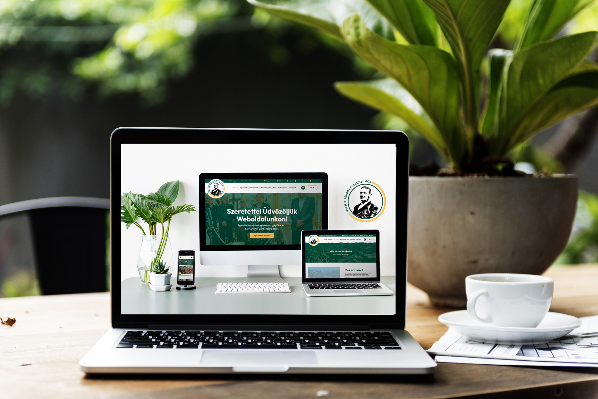 AreaMedia by Zoltan Hanzli